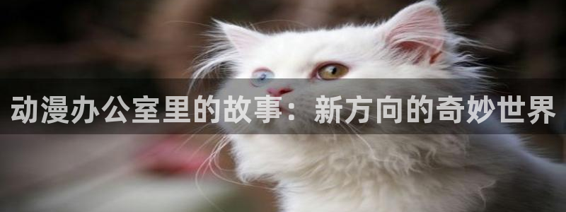 小信的干洗店樱花动漫：动漫办公室里的故事：新方向的奇妙世界