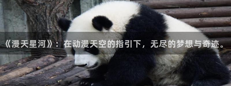 樱花动漫4k：《漫天星河》：在动漫天空的指引下，无尽的梦想与奇迹。