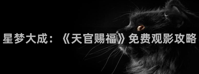 惩戒樱花动漫：星梦大成：《天官赐福》免费观影攻略